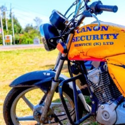 Manned security guarding